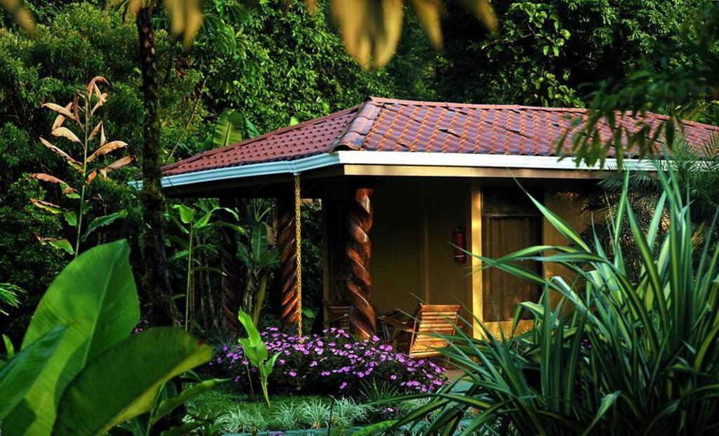 Hotel Catarata Rio Celeste Bijagua Bilik gambar