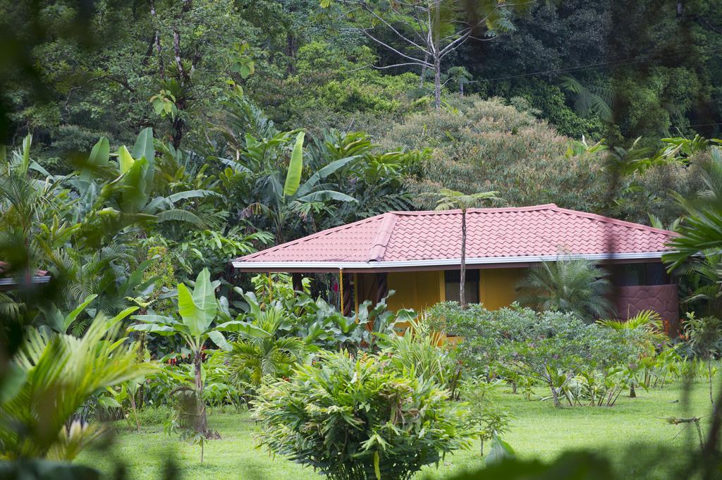 Hotel Catarata Rio Celeste Bijagua Luaran gambar