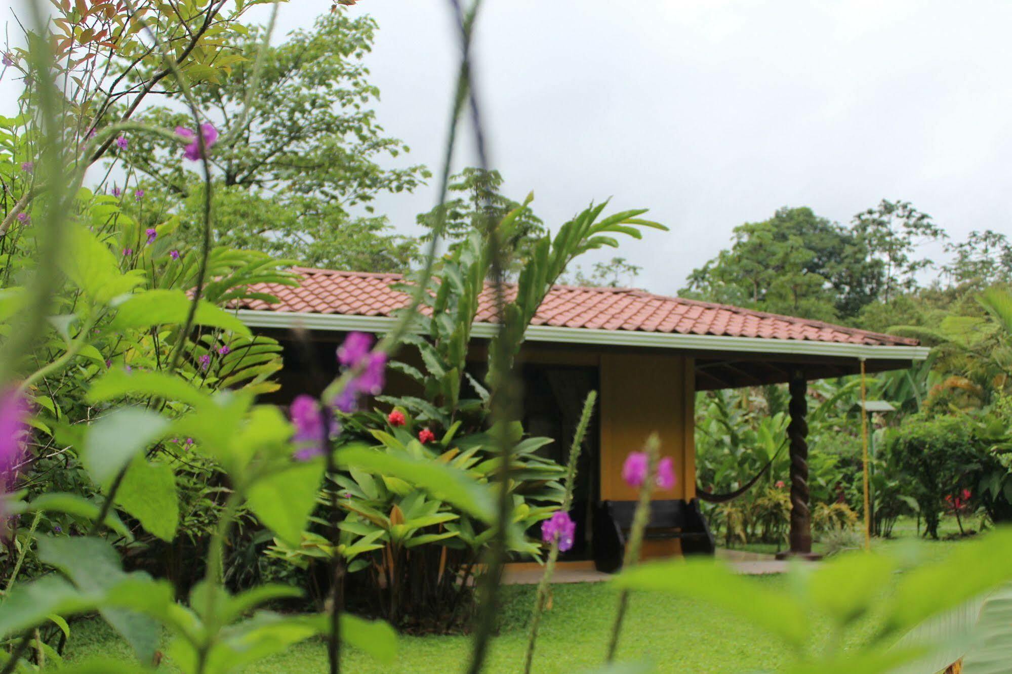 Hotel Catarata Rio Celeste Bijagua Luaran gambar