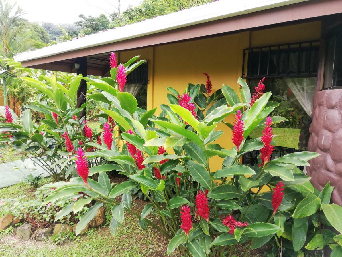 Hotel Catarata Rio Celeste Bijagua Luaran gambar