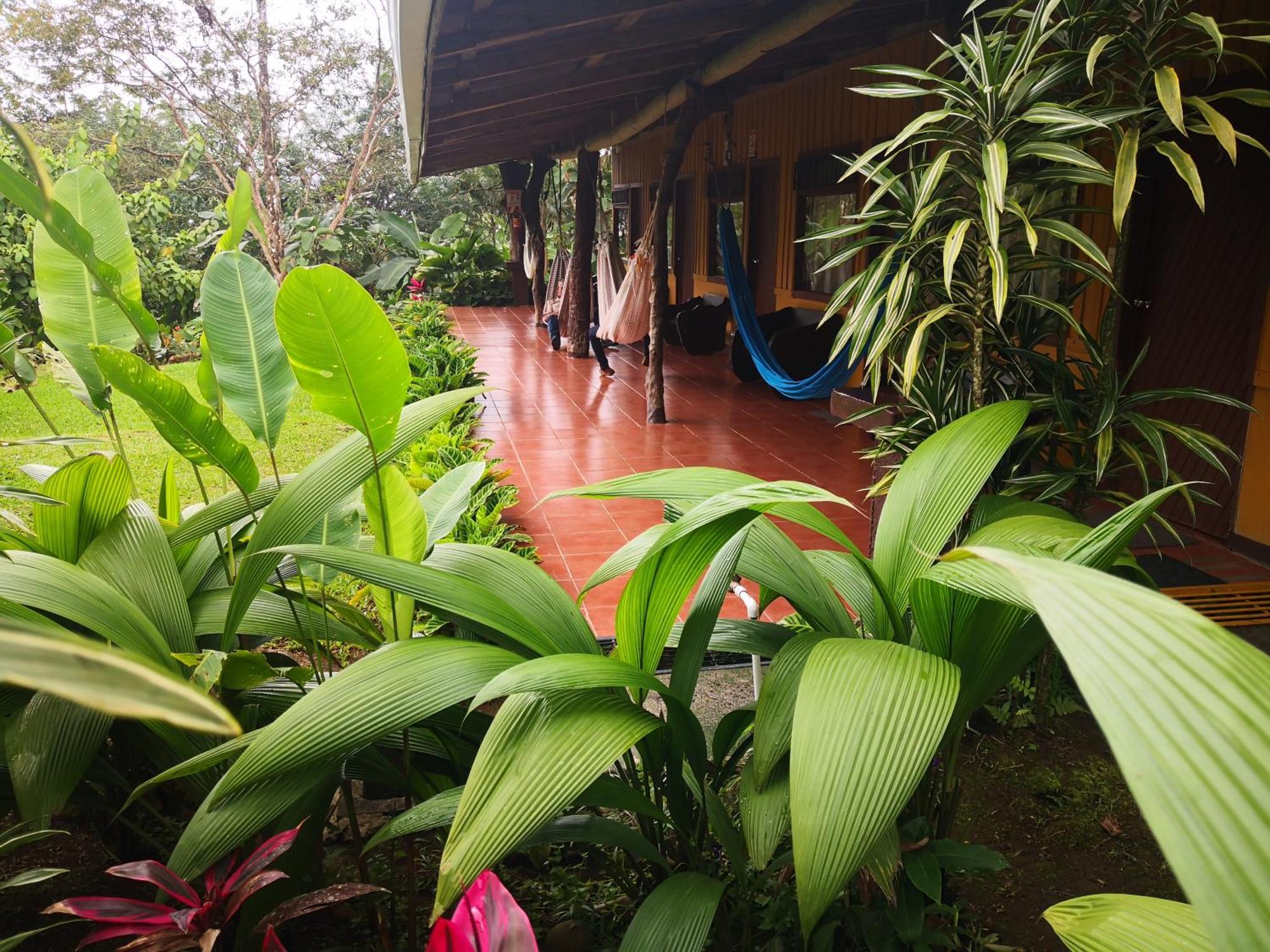 Hotel Catarata Rio Celeste Bijagua Luaran gambar